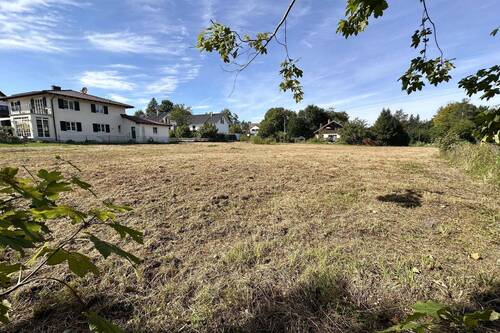 Grundstück mit Blick nach Norden - 