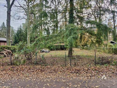 20251112_132242 3 - Freies Grundstück in der Nähe von Berlin sucht Traumhaus