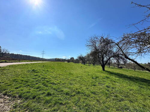 Feldrand Wohngebiet Südsicht - 