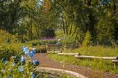 Jag43 Umgebung (10) - 