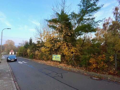 Ansicht - EUPORA Immobilien: Schönes Baugrundstück in Kirchheimbolanden - Bolanden