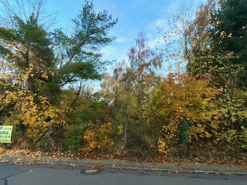 Ansicht 2 - Grundstück zum Kaufen in Bolanden