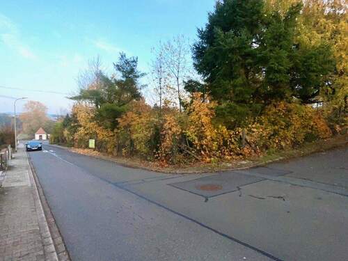 Ansicht 4 - Grundstück in Bolanden zum Kaufen