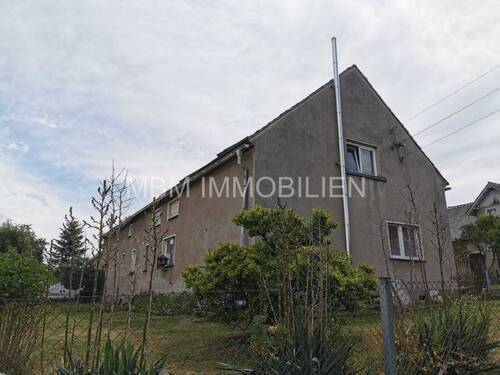 Bild 11 - 