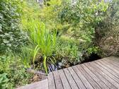 Teich - 