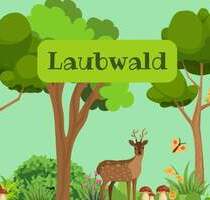 Wald in NWM! - 21.600,00&nbsp;EUR Kaufpreis, ca.&nbsp; 0,00&nbsp;m&sup2; in Rankendorf (PLZ: 23936)