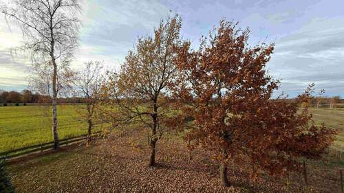 Blick von der Dachterrasse - 
