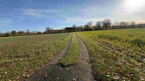 Zufahrt zum Haus - 4 Zimmer Einfamilienhaus zum Kaufen in Moorrege