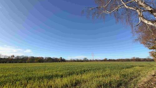 Blick über Felder - 4 Zimmer Einfamilienhaus in Moorrege