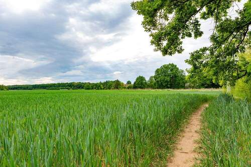 Wo Stadt auf Ruhe trifft - 4 Zimmer Terrassenwohnung in Röthenbach an der Pegnitz