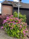 Bild 5 - 