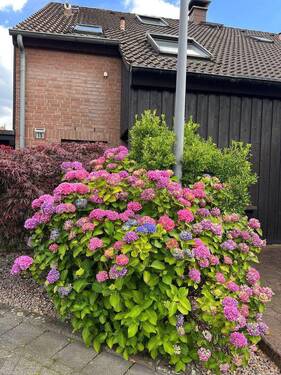Bild 5 - 