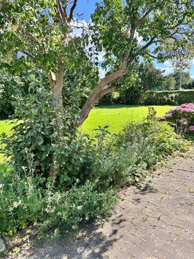 20250810_123206649_iOS - Grundstück zum Kaufen in Lübeck