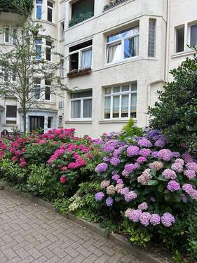 Blühender Innenhof - 