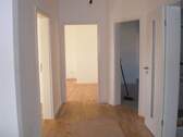 Heller Flur mit neuen Türen und Parkett - 