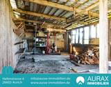 Schuppen - 