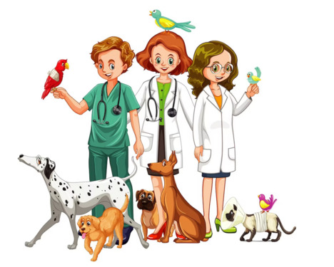 Screenshot 2023-03-13 111420 - Leer - Nachfolger für gut eingeführte Tierarztpraxis gesucht