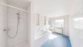 Bild10 - 