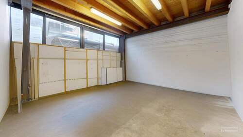 Buro-mit-Industiehalle-in-bester-Lage-und-Verkehrsanbindung-zur-Schweiz-Other-Defurnished - 