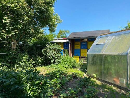 Garten, Gewächshaus - 