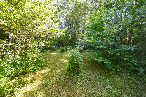 Waldgrundstück - 