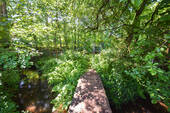 Waldgrundstück - 