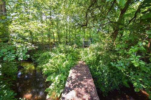 Waldgrundstück - 