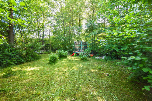 Waldgrundstück - 