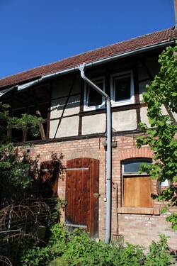 IMG_3110.JPG - 
