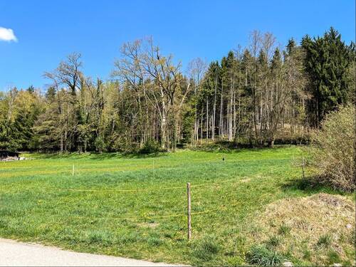 Südansicht - Grundstück in Bad Endorf zum Kaufen