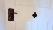 12.jpg - 