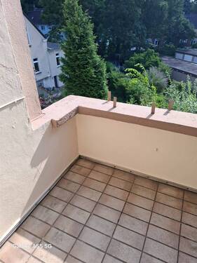 PHOTO-2025-07-28-20-44-49 - 