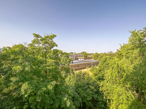 Aussicht - 