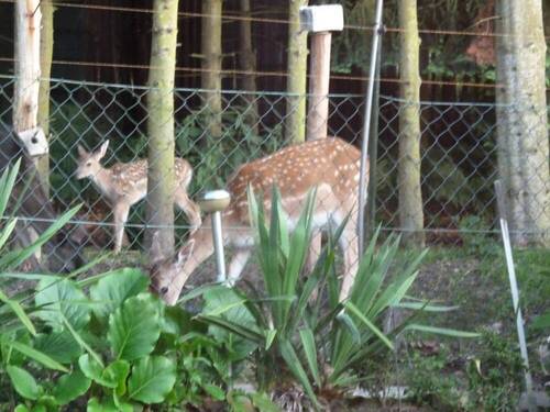 Ausblick Wintergarten - 