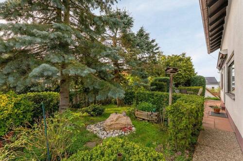 Gepflegter großer Garten - 