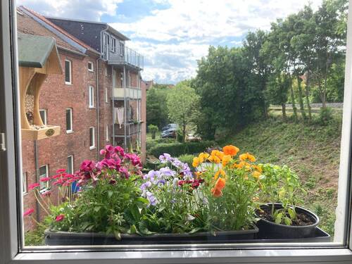 Blick nach hinten - 1 Zimmer Mehrfamilienhaus, Wohnhaus in Jena