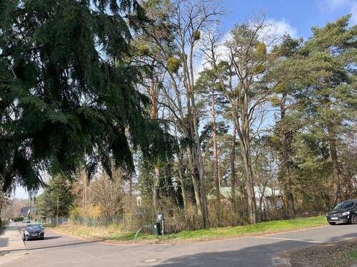 Blick in die Moselstraße - 