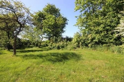 Bild 3 - Grundstück in Lindewitt