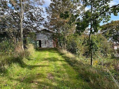 Bild 4 - Grundstück in Lindewitt zum Kaufen