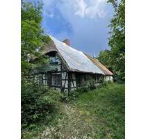 Sanierungsbedürftiges Reetdachhaus (Der Joshof) - Fintel