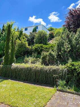 Wunderschöner Garten - 