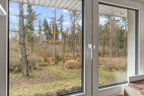 Ausblick Wohnzimmer - 