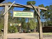 Kletterwald - 
