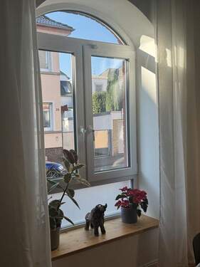 3-fach verglaste neue Fenster - 