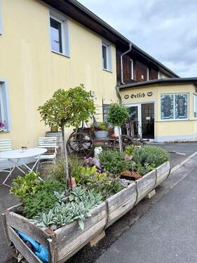 Eingangsbereich - Halle in Niederau