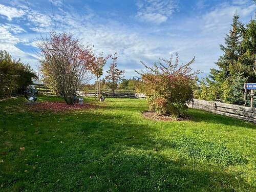 Garten (Im Sommer Außensitzplätze für Gäste) - 