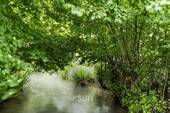 Umgebung - 