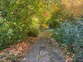 Zufahrt Bild 2 - 