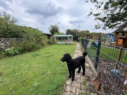 Garten - 