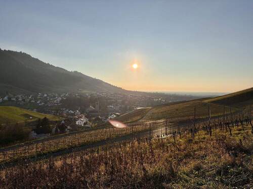 Idyllische Landschaft Neuweier - 